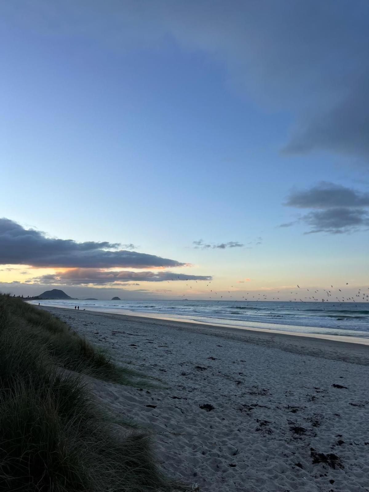 Papamoa Beach, Pohutukawa Deluxe Studio, On Hugoway Buitenkant foto